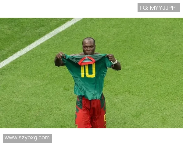 喀麦隆足球明星排行榜揭晓谁是最强球员的巅峰之选