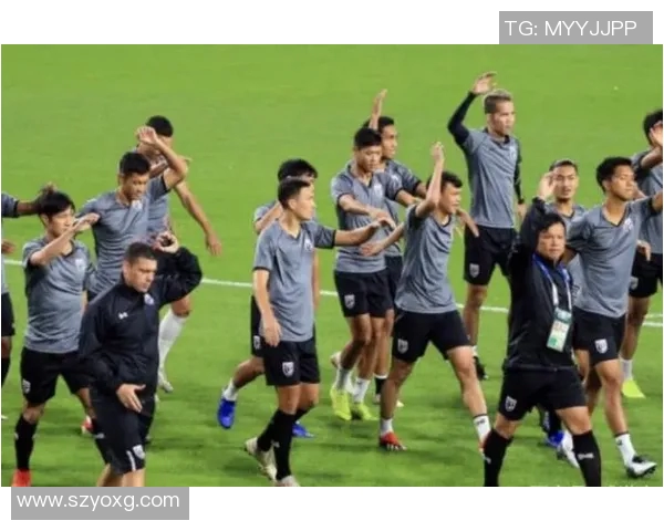 广州篮球队在城市联赛中的团队协作表现分析与点评