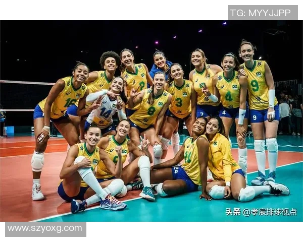 广州排球队战术深度解析与对比研究揭示球队优势与不足